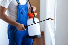 Best Fumigation Services  in Clearlake Riviera, CA